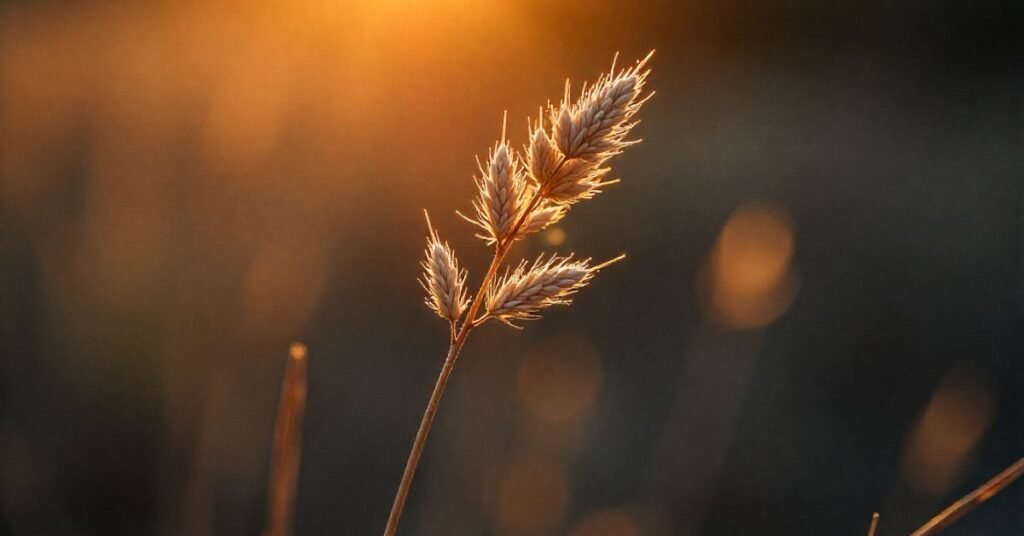 male plant weed